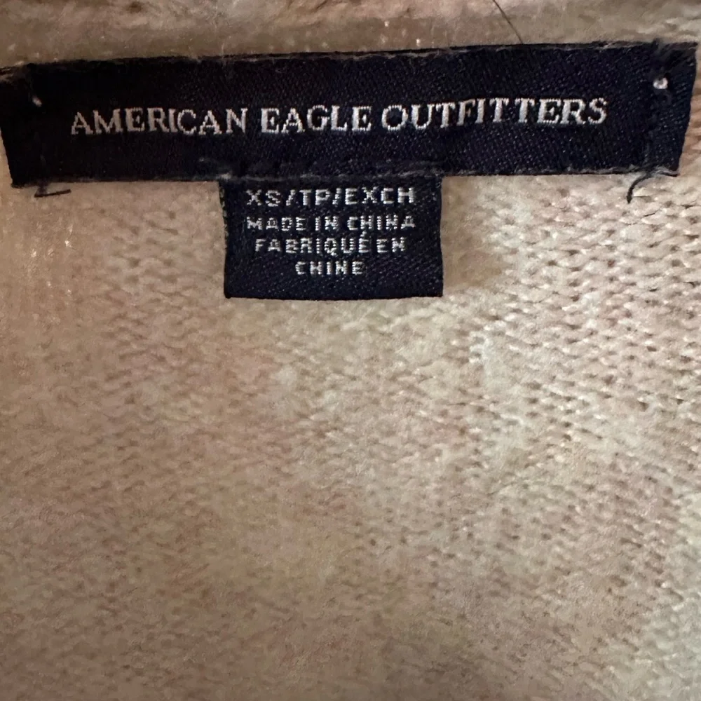 American Eagle Outfitters Cropped Hooded Sweater